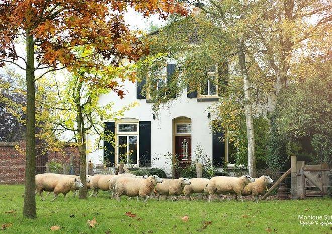 B&b de knechtenkamer puiflijk