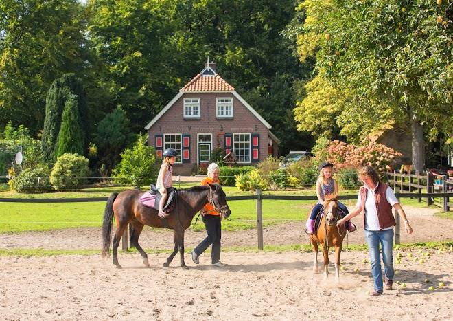 Boerenbed landgoed tongeren