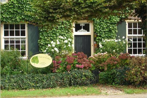 Onder de linden