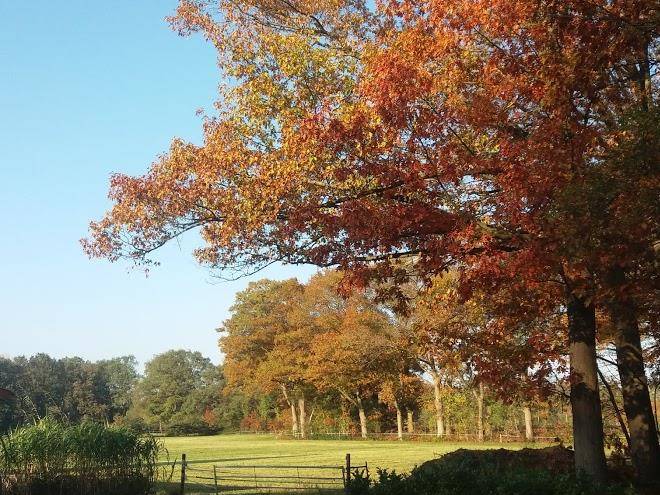 Hoeve welgenoegen