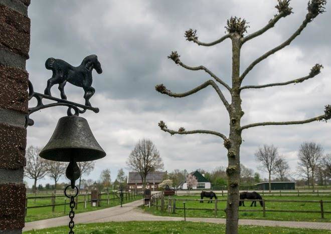 Recreatieoord Hippique Image