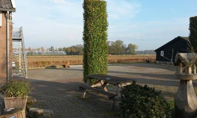 T lingeveld bv
