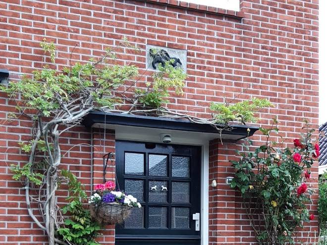 De twee paardjes