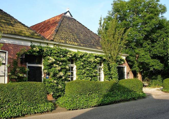 Galerie jacoba wijk & b+b onder de kastanjes