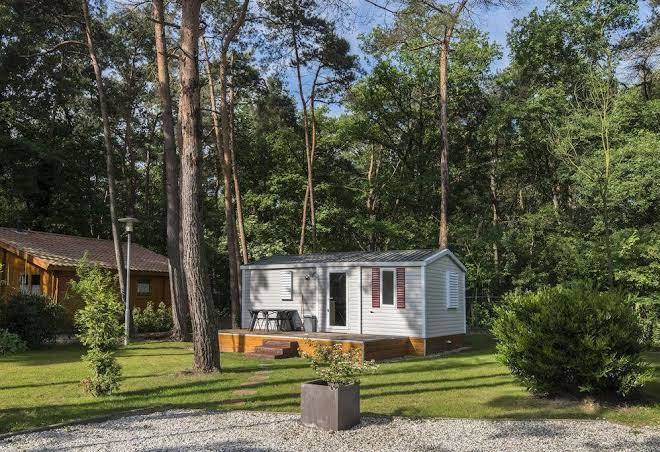 De brenk berg bv
