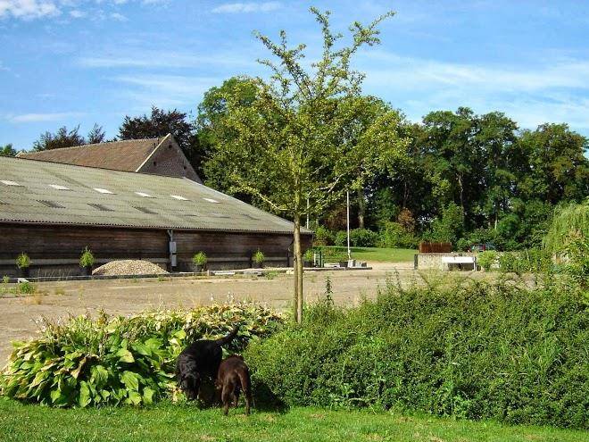 Groepsaccommodatie hontemerhof bv