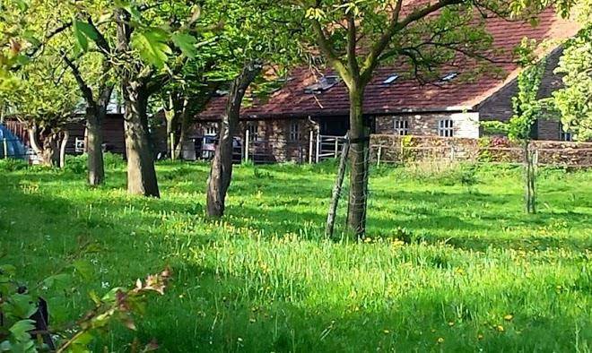 Hoeve hazendries