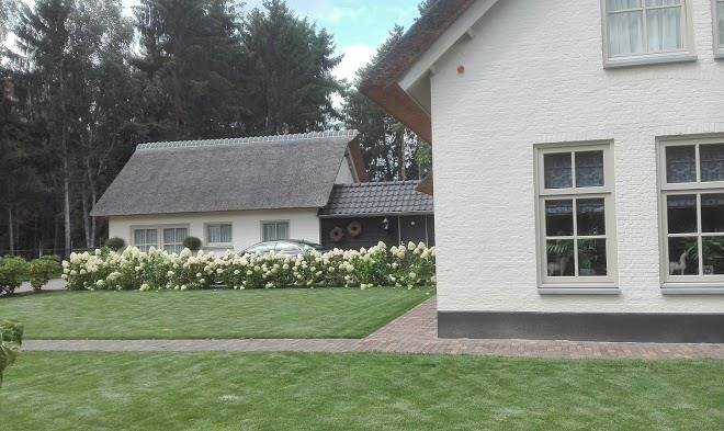 De vrolijcke bosmuis