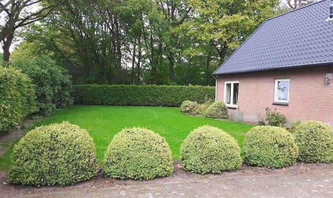 Groepsaccommodatie de lansert