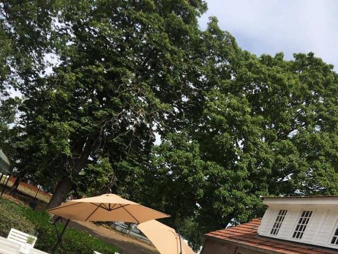 Hotel restaurant de collse hoeve