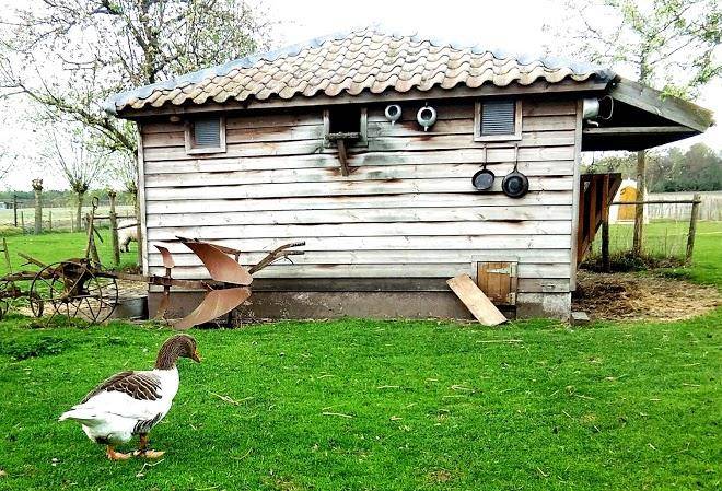Ijsboerderij de gerda hoeve