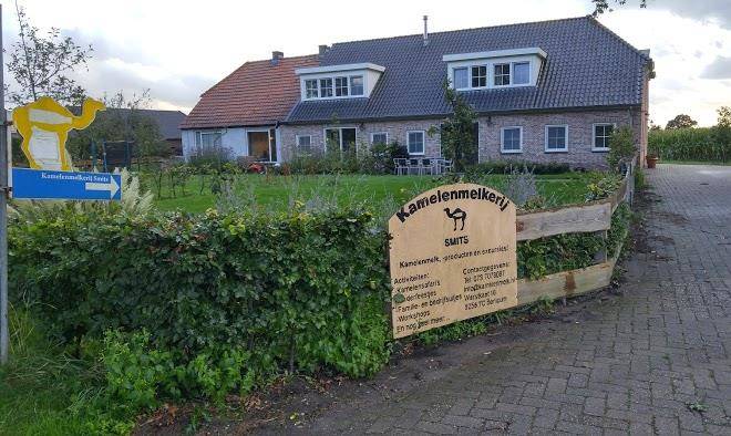 B&b de kamelenmelkerij