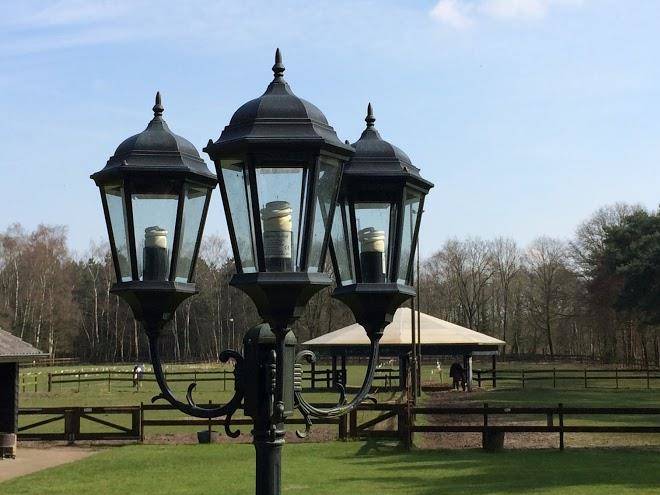 Vakantiehuis de berken