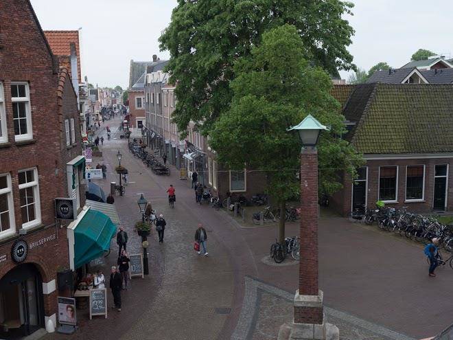 Alkmaarse koster
