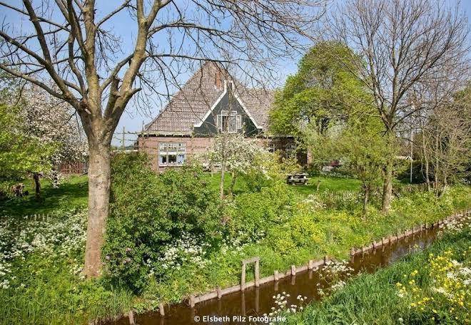 B&b boerderij de fryhof