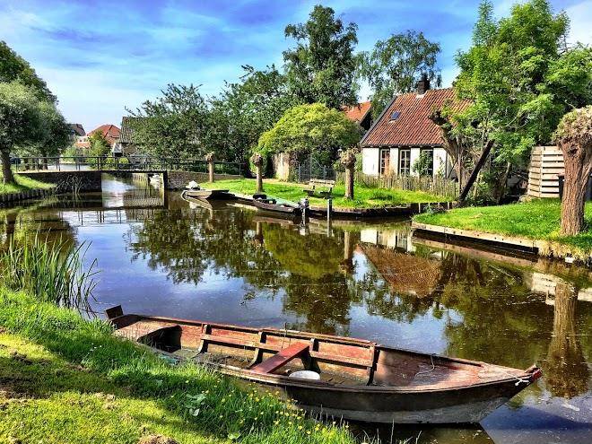 Juffertje In Het Groen Image