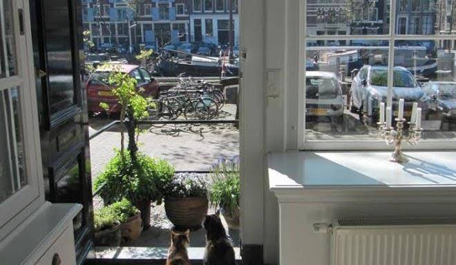 Kalkmarkt suites