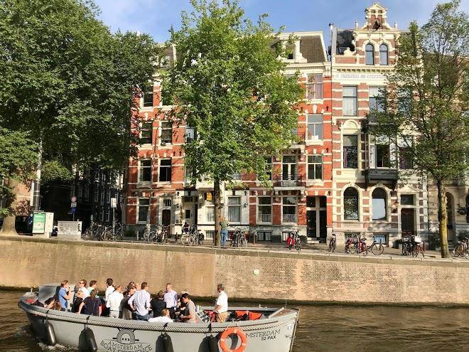 Tulipa amsterdam