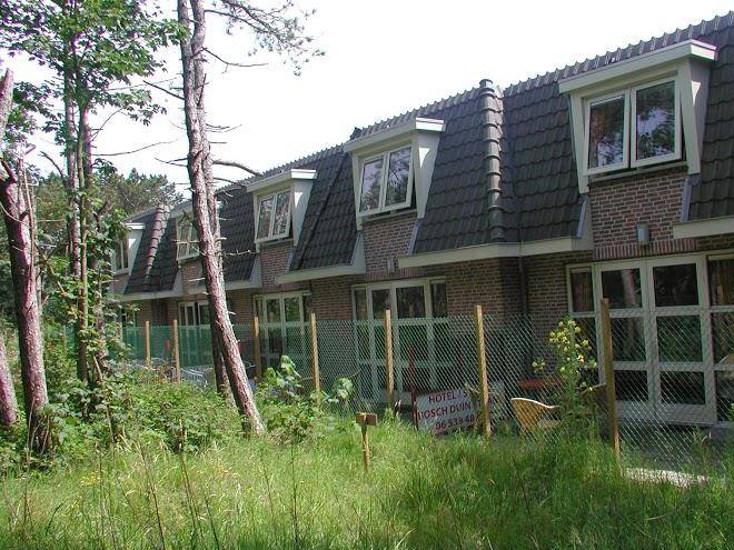 Bosch duin strand