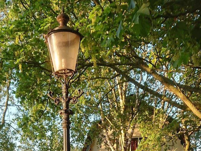 B&b Zusenzomer Image