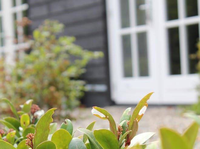 Business hotel medemblik