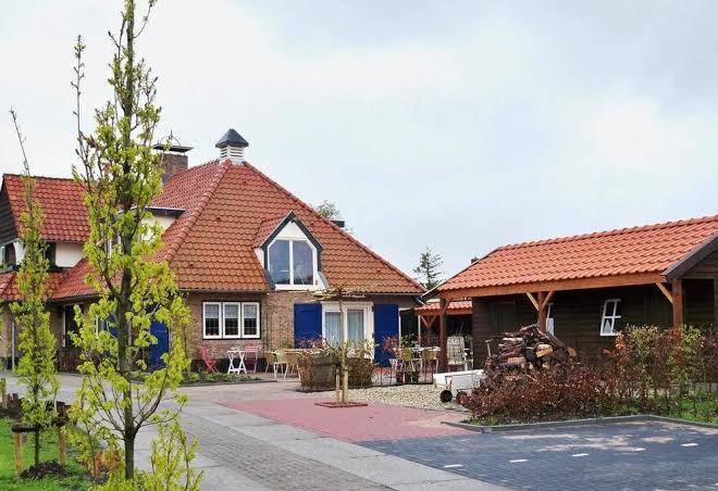 Wijngaard saalhof