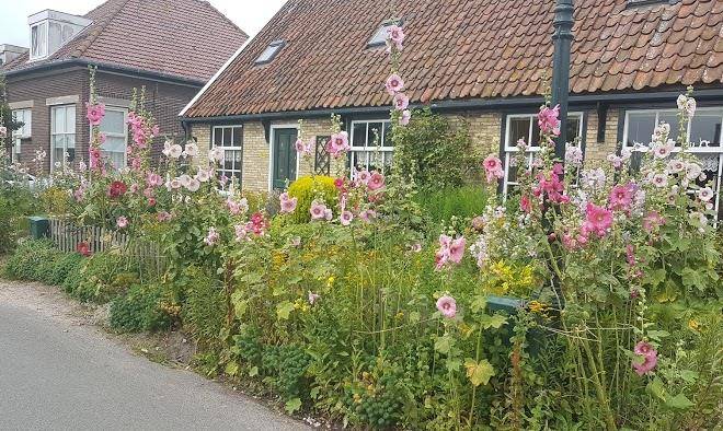 Eilandlodges de florijn