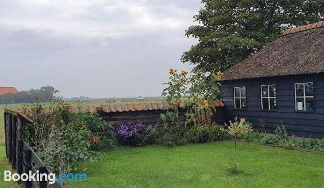Hunsingo texel