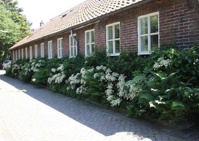 Boerderij landzicht