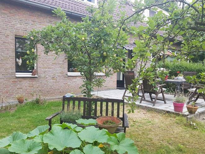 Huisjeaandedinkel