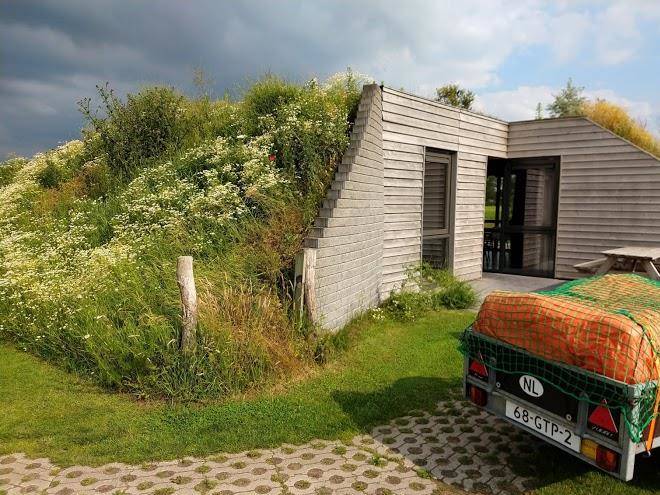 Koe in de kost