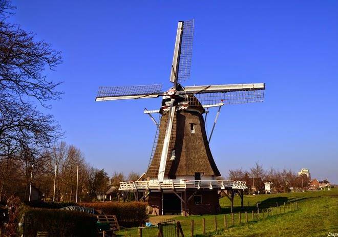 Bijzonder overnachten b&b olifantspad