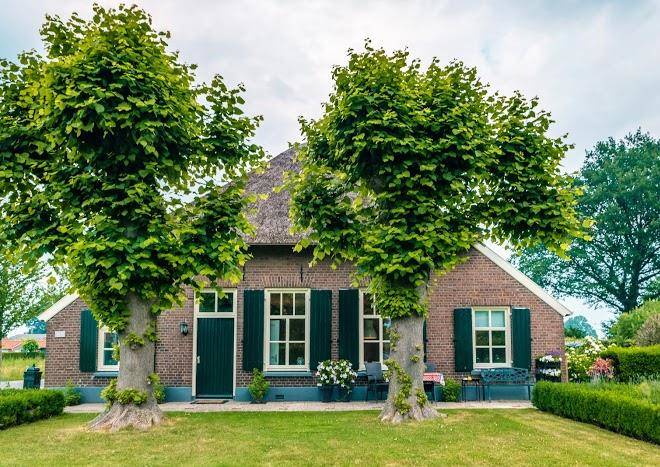 B&b woonboerderij dijkerhoek
