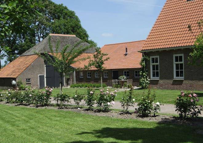Het leeuwterveld