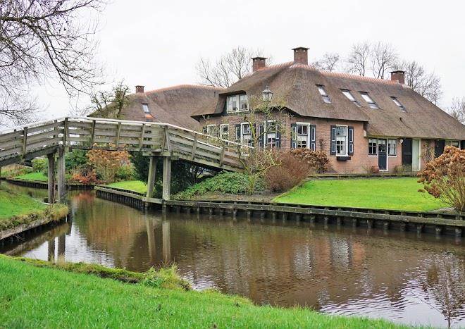 Mol drost
