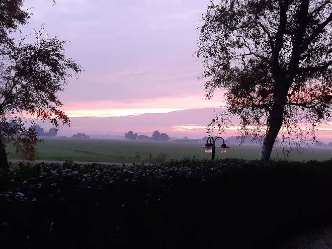 Het wijdeland