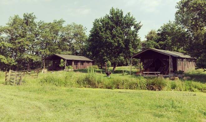 Boerenbed taartentuin