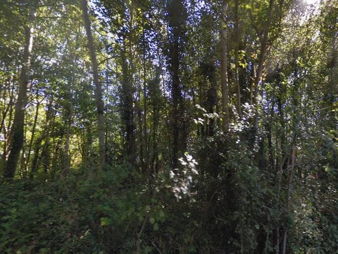 De Toekomst 70 Image