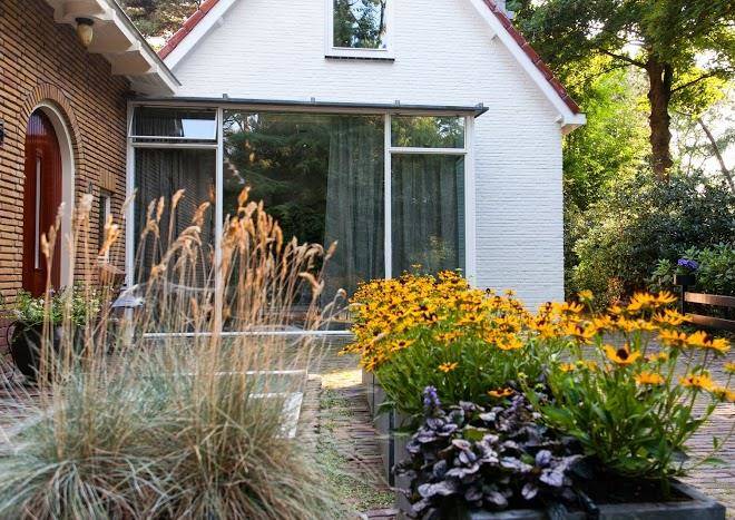Bed and breakfast in bos aan zee