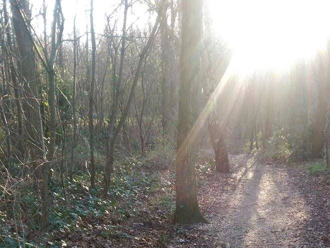 Zon En Zee Vakanties Image