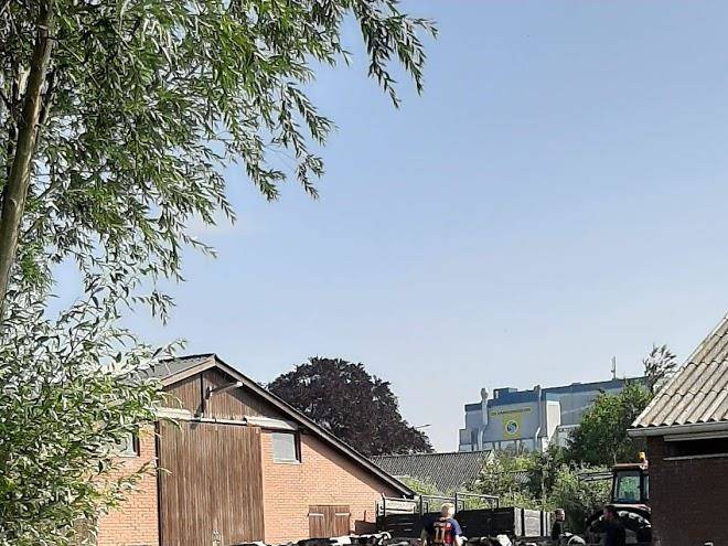 De groene hartelijkheid