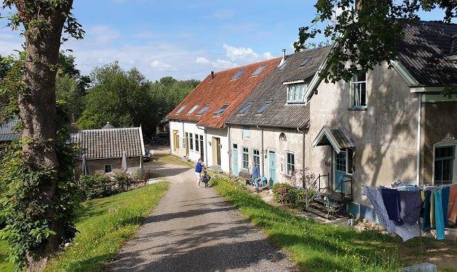 Theetuin onder de pannen