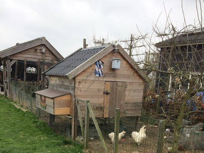 Hoeve cornelia