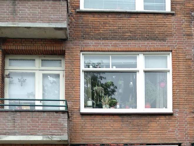 Imagine my b&b Rotterdam