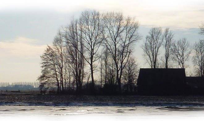 Het theepotje