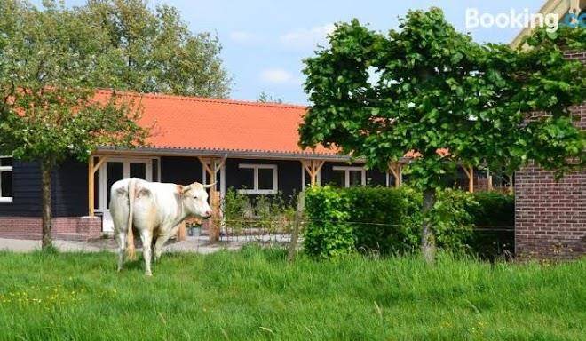 B&b de boerenzwaluw