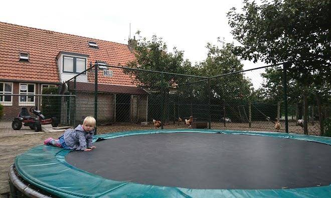 Boerderij de boterbloem vof