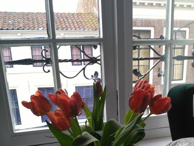 B&b de slapende leeuw