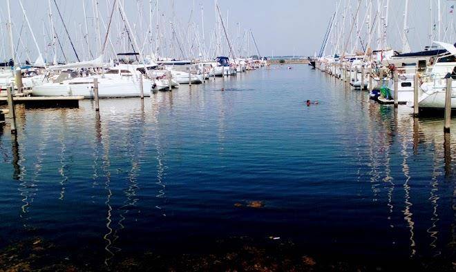 Bruinisse zeeland holland