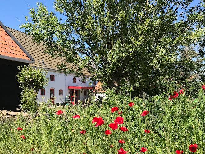 Flaauwershof